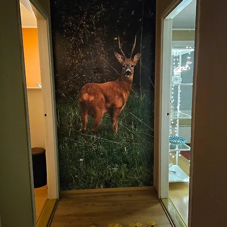 Carelian Pearl - House In Ilomantsi, Eastern Finland * Ilomantsi