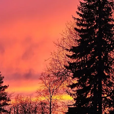 Priha At Kirkkotie Premium Urban Living In