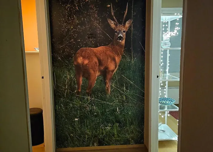 Priha At Kirkkotie Premium Urban Living In * Ilomantsi