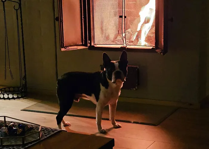 Priha At Kirkkotie Premium Urban Living In Hébergement de vacances *