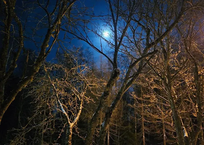 Priha At Kirkkotie Premium Urban Living In Hébergement de vacances Ilomantsi