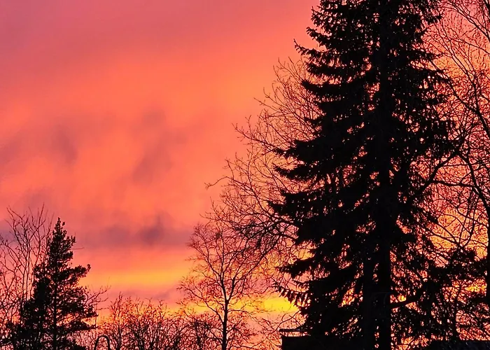 Priha At Kirkkotie Premium Urban Living In